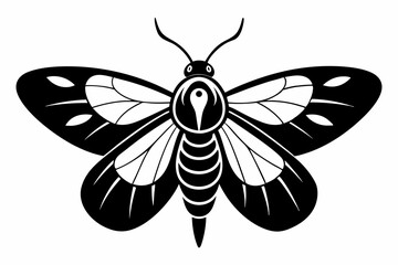 moth silhouette line art vector illustration with a white background