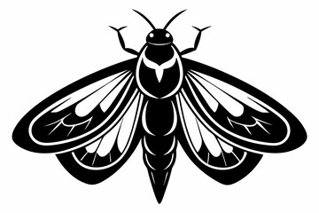 moth silhouette line art vector illustration with a white background
