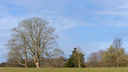 stanmer park, sussex