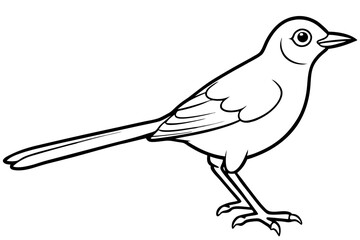 nightingale silhouette line art vector illustration with a white background