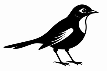 nightingale silhouette line art vector illustration with a white background