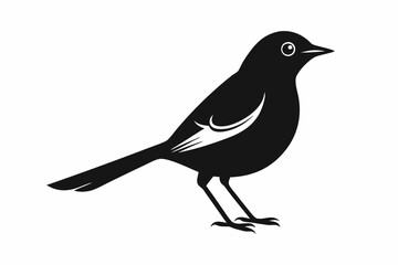 nightingale silhouette line art vector illustration with a white background
