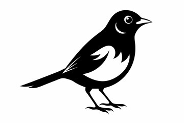 nightingale silhouette line art vector illustration with a white background