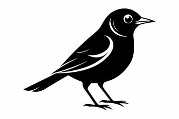 nightingale silhouette line art vector illustration with a white background