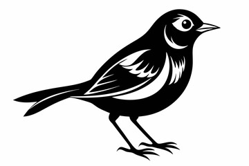 nightingale silhouette line art vector illustration with a white background