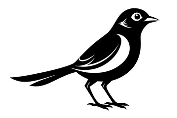 nightingale silhouette line art vector illustration with a white background