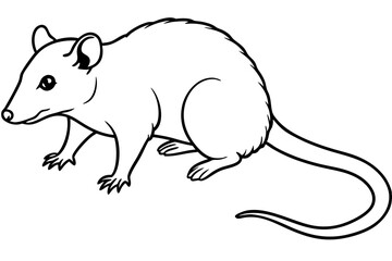 opossum silhouette line art vector illustration with a white background