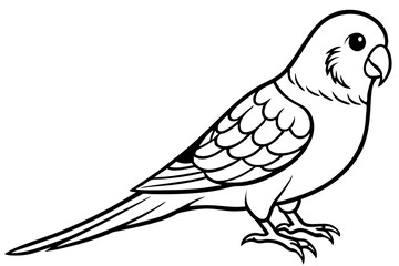 parakeet silhouette line art vector illustration with a white background
