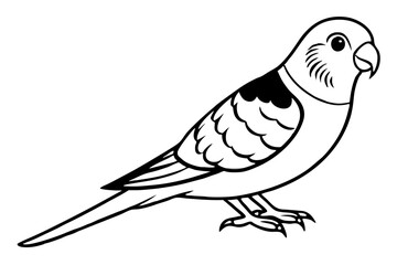 Fototapeta premium parakeet silhouette line art vector illustration with a white background