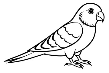 parakeet silhouette line art vector illustration with a white background