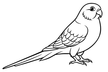 parakeet silhouette line art vector illustration with a white background