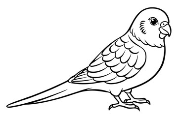 parakeet silhouette line art vector illustration with a white background