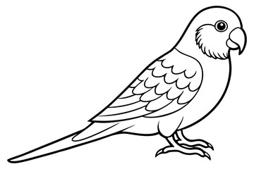 parakeet silhouette line art vector illustration with a white background