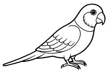 parakeet silhouette line art vector illustration with a white background
