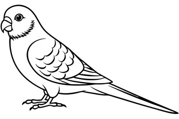 parakeet silhouette line art vector illustration with a white background