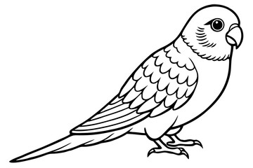 parakeet silhouette line art vector illustration with a white background