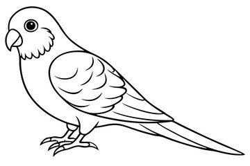 parakeet silhouette line art vector illustration with a white background