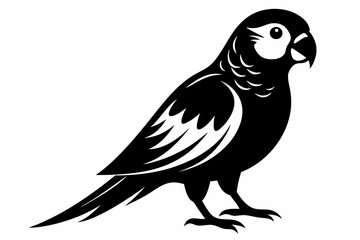 parakeet silhouette line art vector illustration with a white background