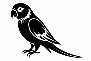 parakeet silhouette line art vector illustration with a white background