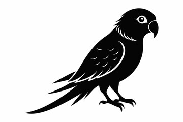 parakeet silhouette line art vector illustration with a white background