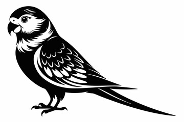 parakeet silhouette line art vector illustration with a white background