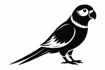 parakeet silhouette line art vector illustration with a white background