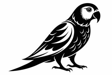 parakeet silhouette line art vector illustration with a white background