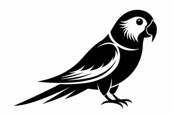 parakeet silhouette line art vector illustration with a white background
