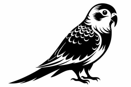 parakeet silhouette line art vector illustration with a white background