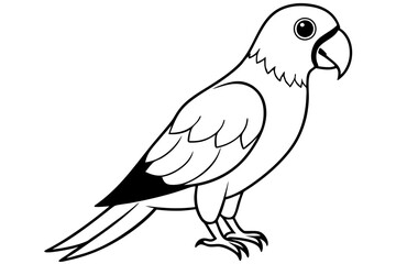 parrot silhouette line art vector illustration with a white background