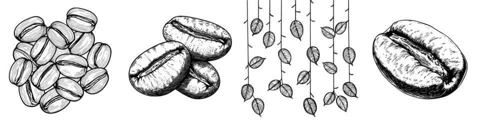 Coffee beans illustrated with designs showcasing various shapes and arrangements on a white background