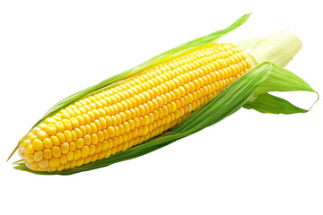 Yellow corn cob with a green leaf on top, isolated