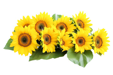 Obraz premium Vibrant Sunflowers a cheerful bouquet of yellow happiness