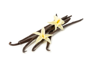 Vanilla pods isolated on white background. Vanilla flowers and seeds. vanilla stick bean. Aromatic...