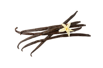 Vanilla pods isolated on white background. Vanilla flowers and seeds. vanilla stick bean. Aromatic...