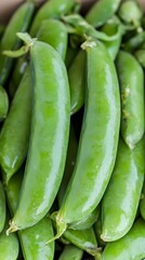 Fresh Green Peas Harvest Abundance Close Up