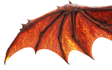 A highly detailed illustration of a dragon wing with blazing fiery patterns Isolated on transparent background.