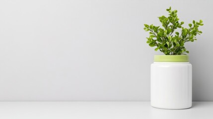 Minimalist plant in a white container on a light gray surface