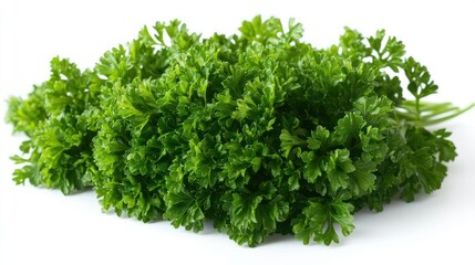 Fototapeta premium Fresh, vibrant bunch of parsley. Close-up view of bright green leaves, tightly clustered. Perfect for culinary use