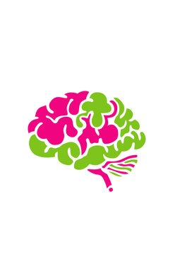 cervelle cerveau dessin