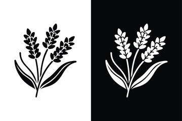 Lavender icon vector on White Background ,Vector Art Illustration on white background.
