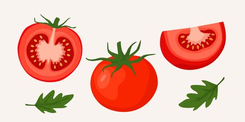 Tomato illustration. Ripe juicy red tomato isolated on white background. Tomato slices. Vector design for print, web, packaging, surfaces, decoration element