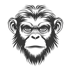 Illustrative Portrait of a Monkey Face in Black and White with Detailed Features and Expressions on a Transparent Background