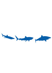 Obraz premium animation requin dessin
