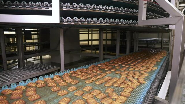 Freshly baked cookies travel on a conveyor belt, making their way through a food processing and packaging plant
