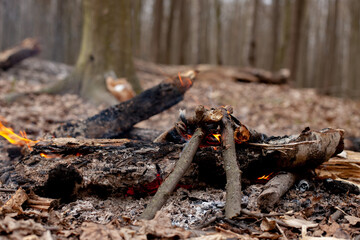 fire in fire place