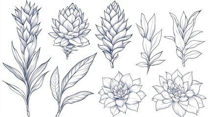 Fototapeta premium Bright Outline Bromeliad Flowers and Buds in Elegant Black Design