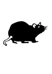 rat dessin