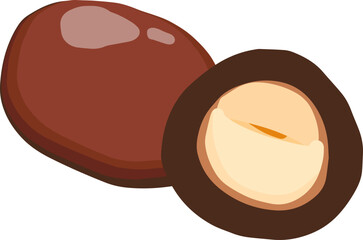 Chocolate Covered Peanuts nuts