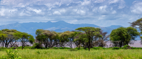 Scenic panoramic view of trees and lush green meadow in Lake Manyara national park in Tanzania. © SNEHIT PHOTO
